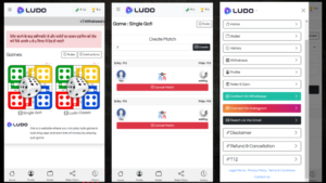 Ludo Tournament source code